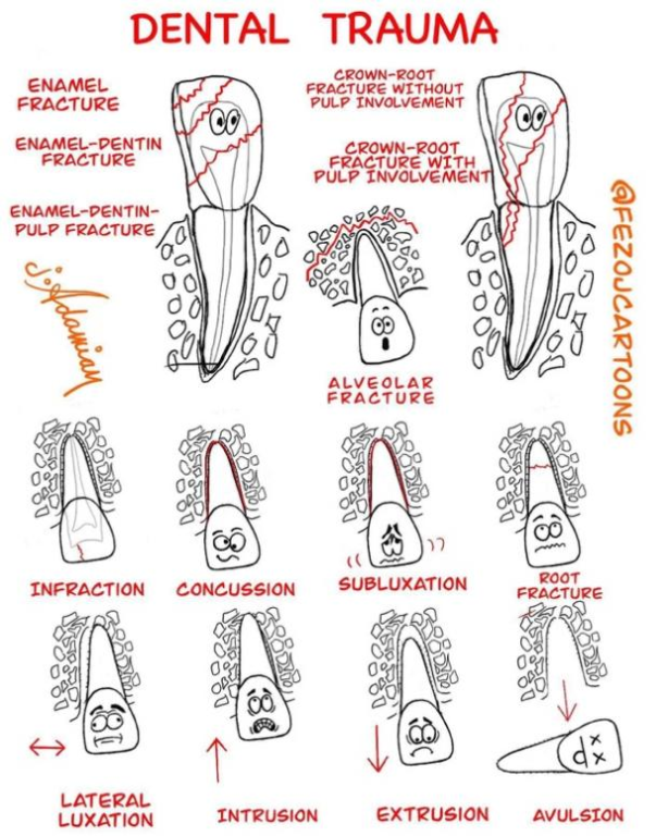 Pediatric Dental Services | 紫荊齒科 紫荆齿科 Dental Bauhinia